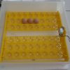 Automatic 48 Egg Incubator Turning Tray